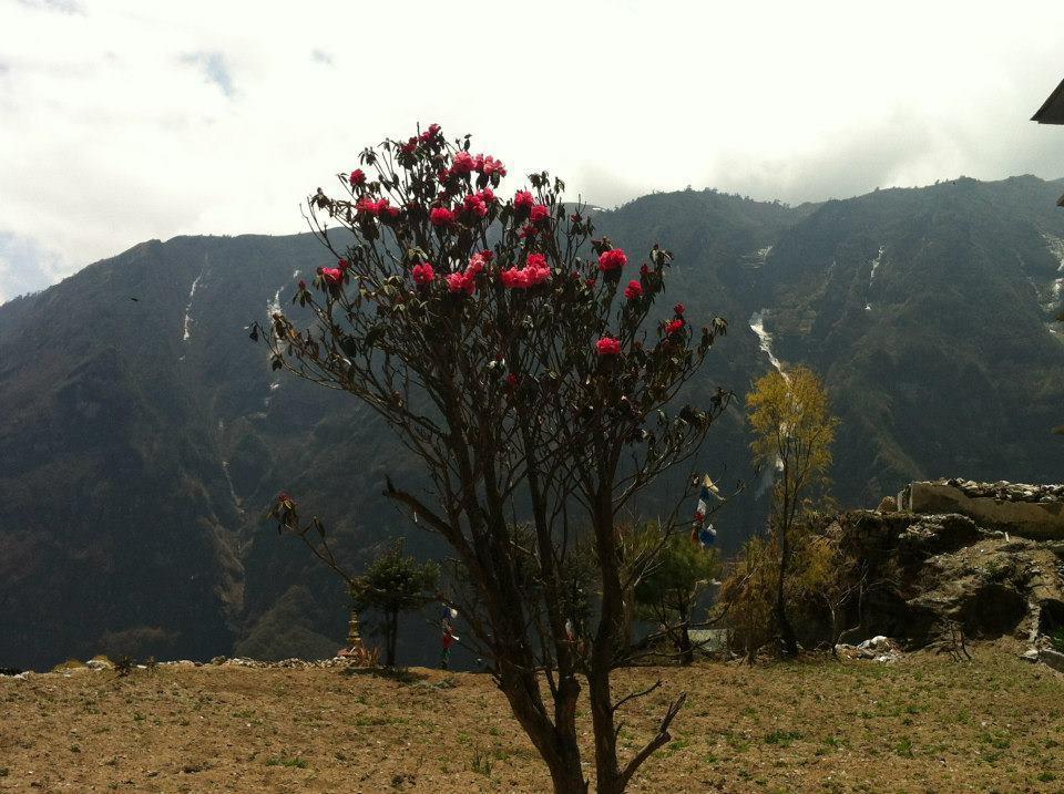 Hotel Namche Namche Bazar Экстерьер фото